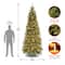 10 ft. Pre-lit Tiffany Fir Slim Artificial Christmas Tree, Clear Lights